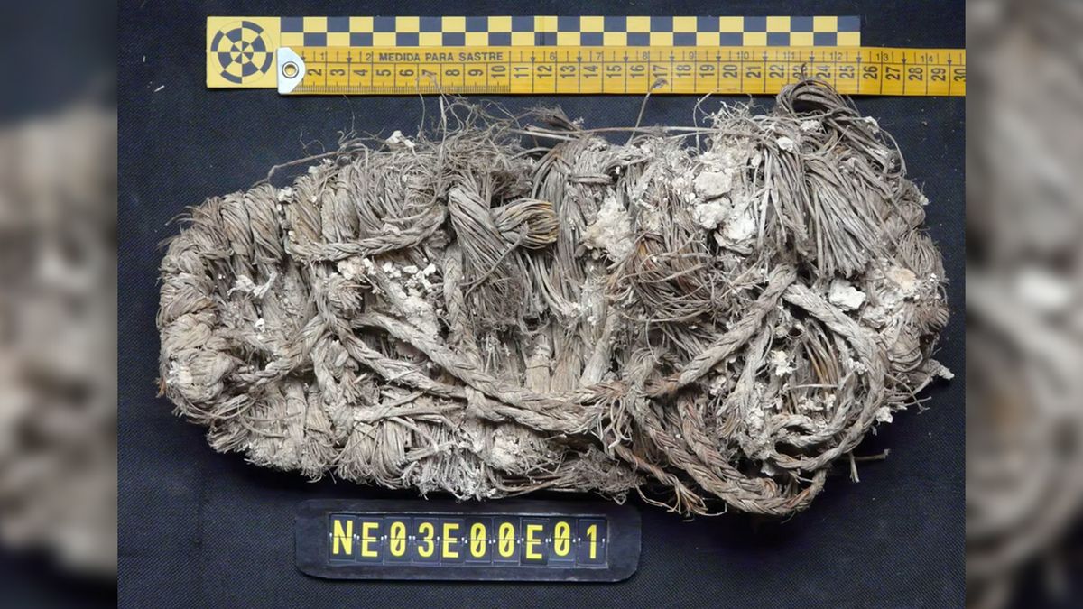 Hnízda orlosupů ve Španělsku skrývala archeologické poklady staré stovky let